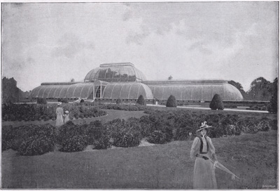 The Palm House, Kew Gardens